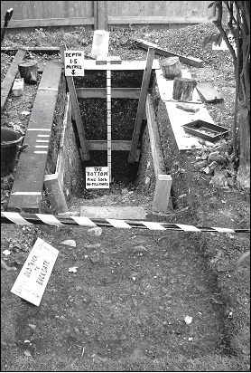 Trench 1 in 2004